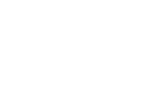Topo-Drone WebSite